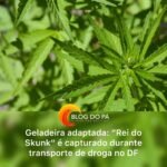 Blogdopa | Traficante conhecido como “Rei do Skunk” é detido com droga dentro de geladeira no Distrito Federal