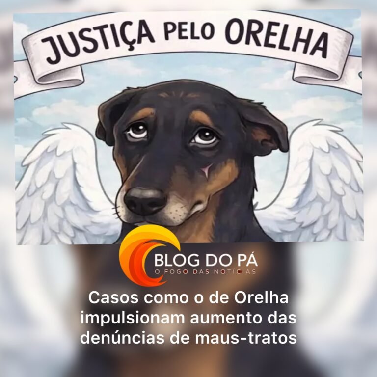 Blogdopa | Repercussão do crime contra cão Orelha evidencia alta nas denúncias de maus-tratos