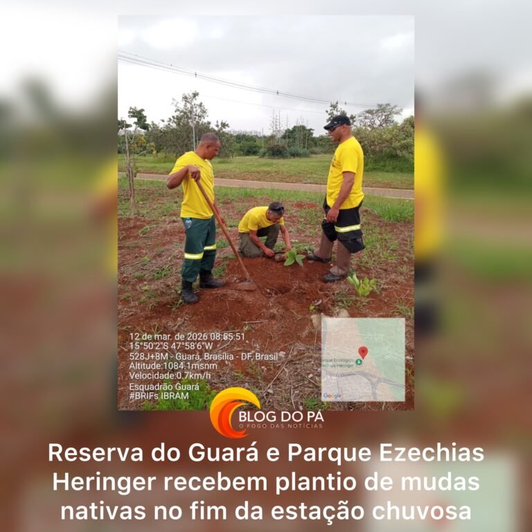 Blogdopa | Aproveitando as últimas chuvas, áreas ambientais do Guará ganham novas mudas nativas